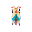 COLÉOPTÈRE BIJOU LUNAIRE