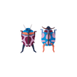 COUPLE COCCINELLE