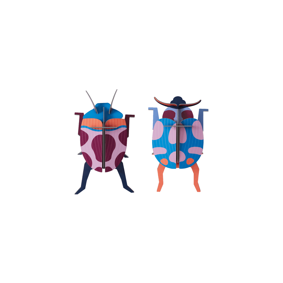 STUDIOROOF Kit Couple coccinelle Multicolore