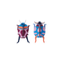 COUPLE COCCINELLE