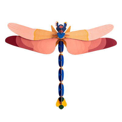 STUDIOROOF Kit Libellule rose Multicolore