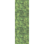 MOSS
