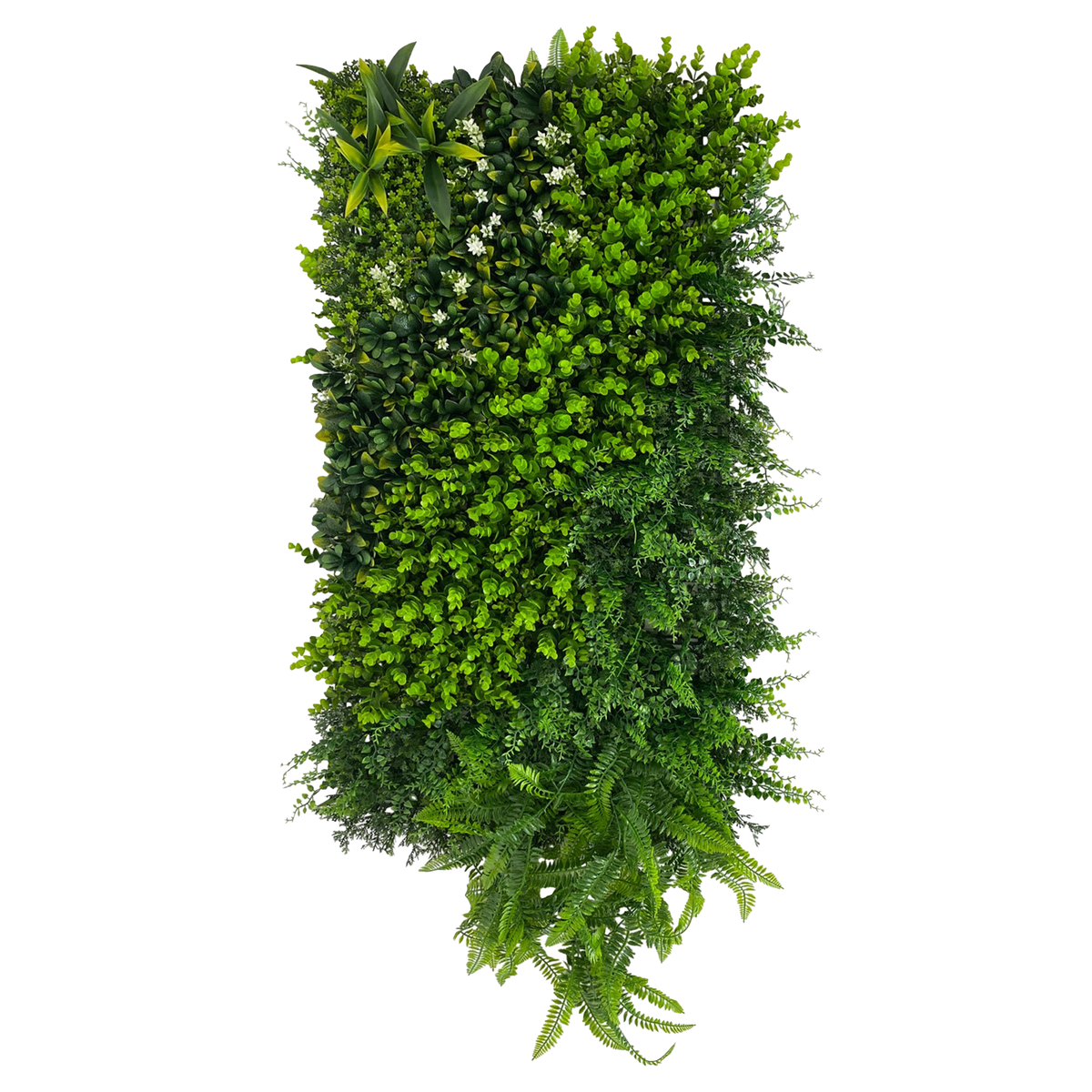 Déco murale In Vert