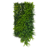 IN