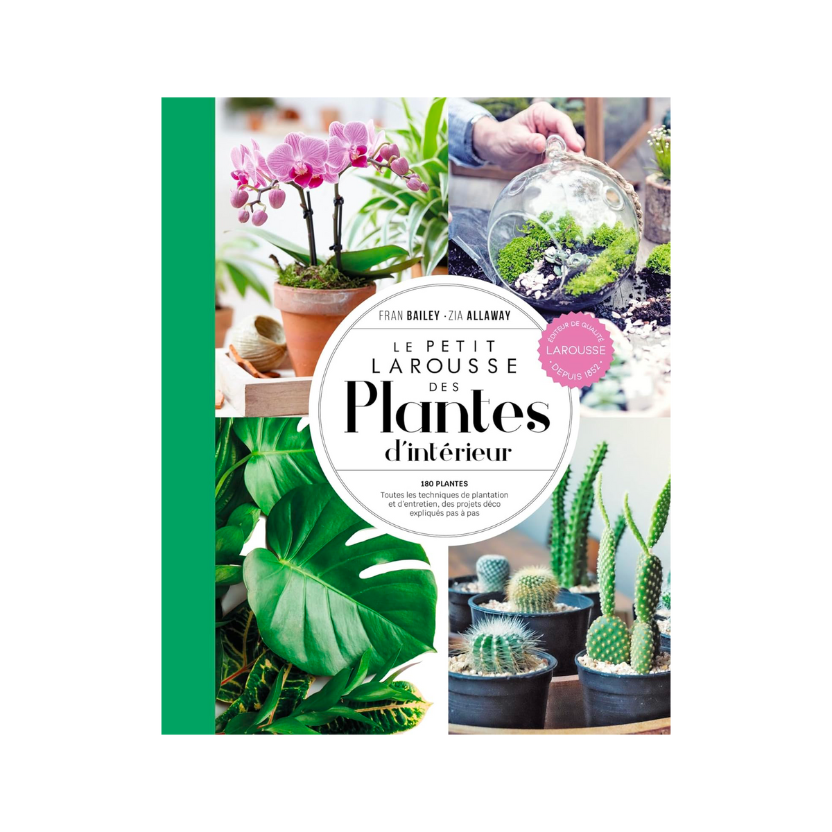 Livre voyage et nature Petit larousse des plantes d'intérieurs Vert