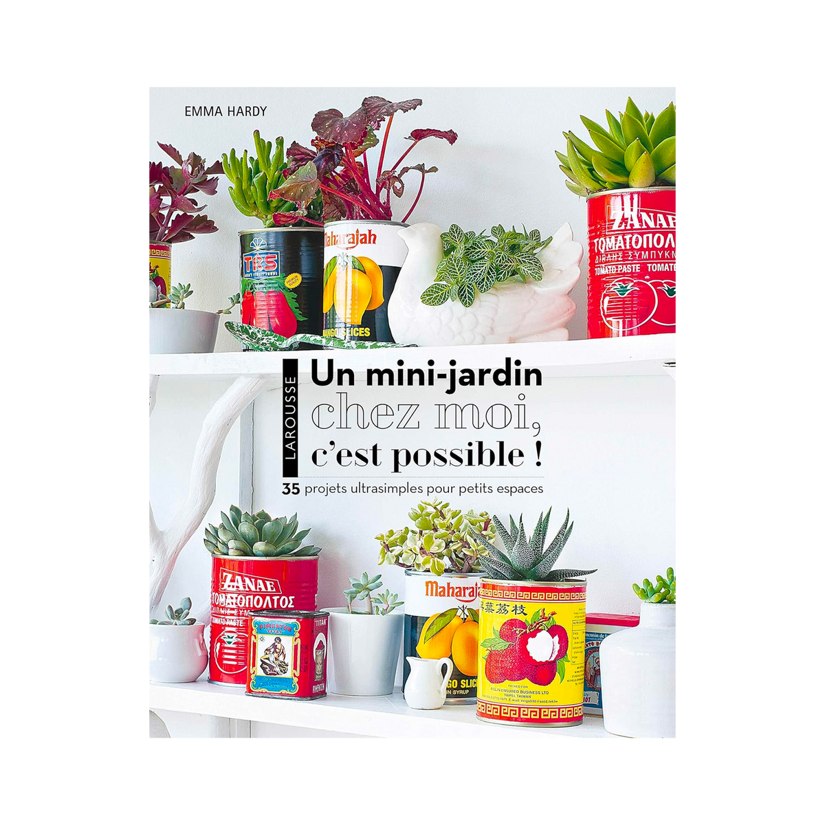 Livre voyage et nature Un mini jardin chez moi, c'est possible ! Multicolore