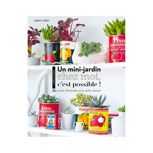 Livre voyage et nature UN MINI JARDIN CHEZ MOI, C'EST POSSIBLE !