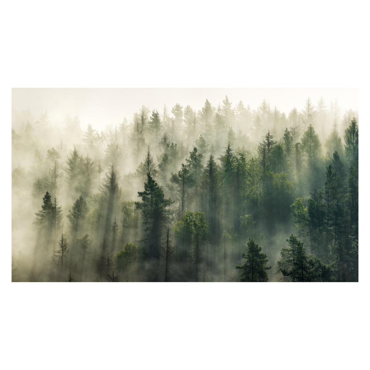 Tableau Forest Vert