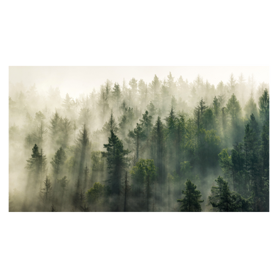 Tableau Forest Vert