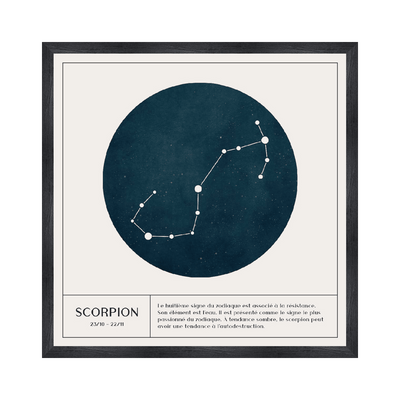 4MURS Tableau Scorpion Blanc