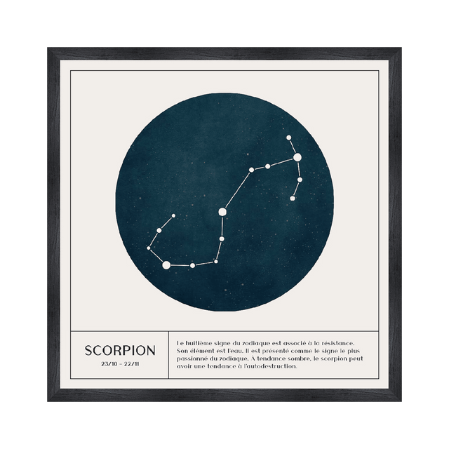 4MURS Tableau SCORPION coloris blanc