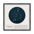 CAPRICORNE
