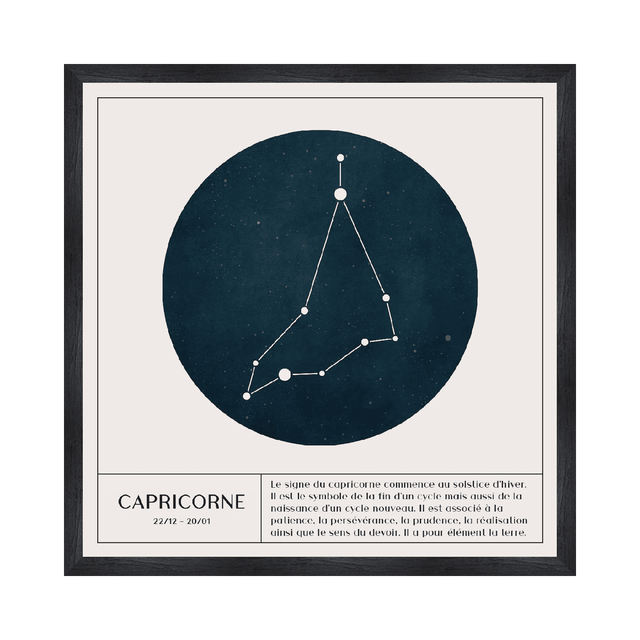 4MURS Tableau CAPRICORNE coloris blanc