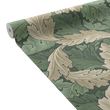 ACANTHUS