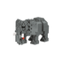 ÉLÉPHANT