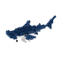 REQUIN MARTEAU