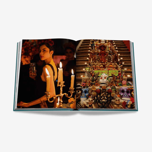 Assouline Livre voyage et nature MEXICO CITY