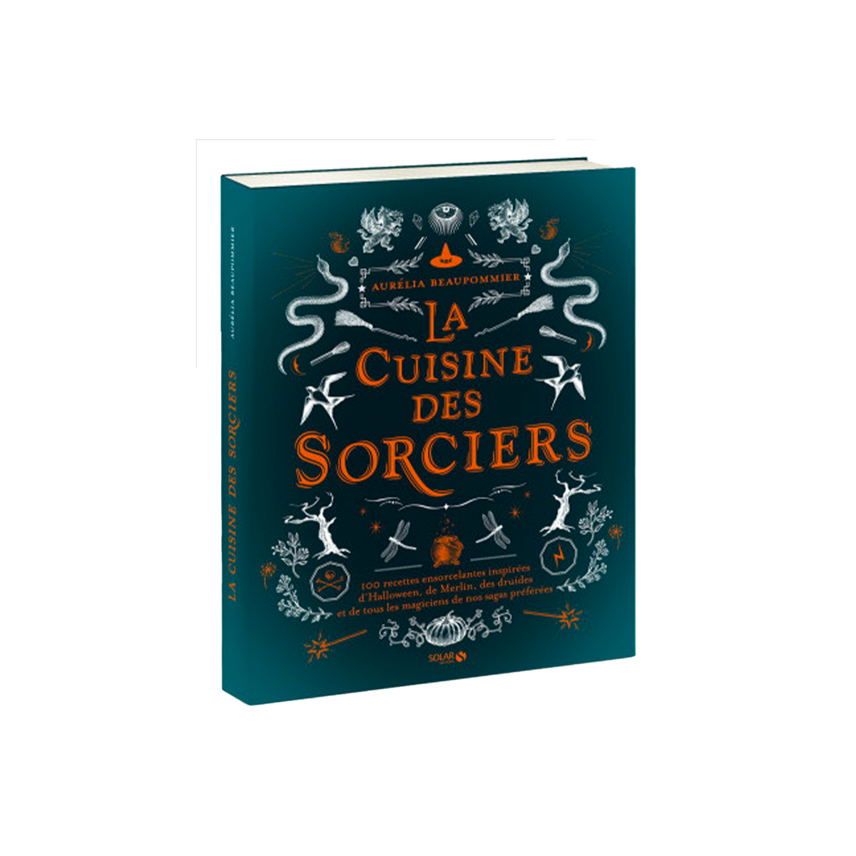 Livre cuisine La cuisine des sorciers Bleu