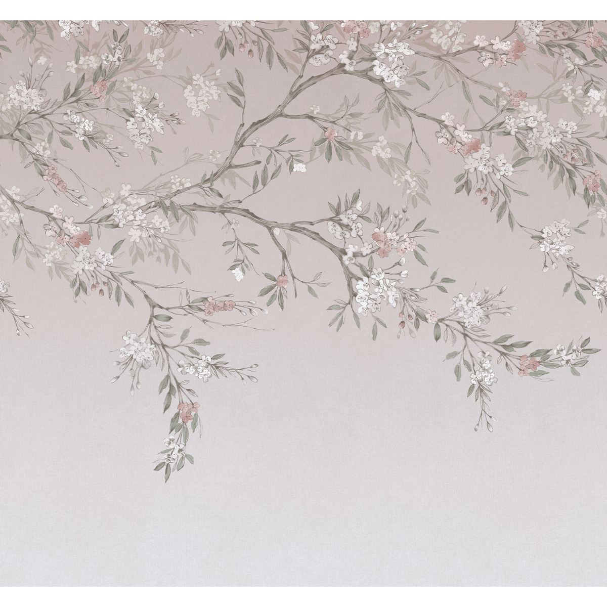 Papier peint panoramique XL Sibelia Rose Mat