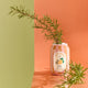 Soliflore Canette de limonade Orange