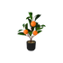 ORANGER