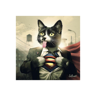 Tableau Binet supercat Noir