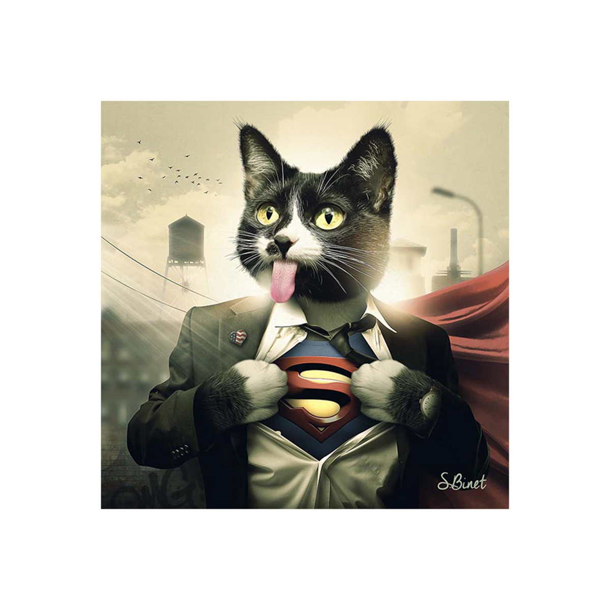 Tableau Binet supercat Noir