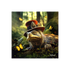 BINET TORTUE FANTASTIQUE