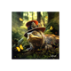 Tableau Binet tortue fantastique Noir