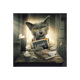 Tableau Binet chat cancre Noir