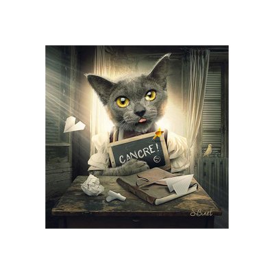 Tableau Binet chat cancre Noir