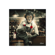 BINET SINGE CAVISTE