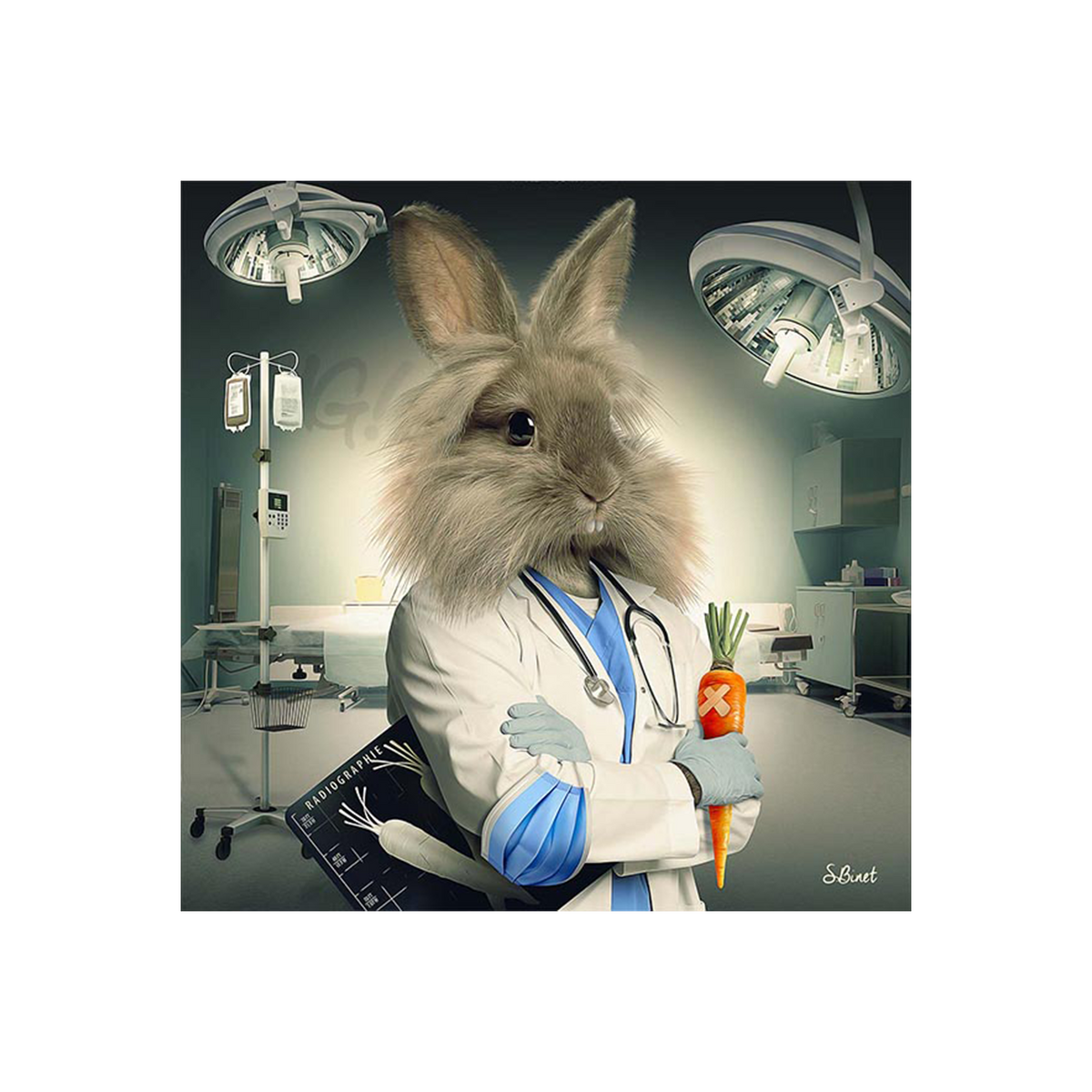 Tableau Binet lapin infirmier Noir