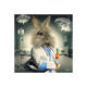 Tableau Binet lapin infirmier Noir