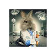 BINET LAPIN INFIRMIER