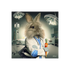 BINET LAPIN INFIRMIER