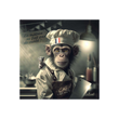 BINET SINGE-CUISTO