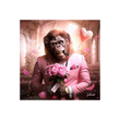 BINET MONKEY LOVE