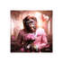 BINET MONKEY LOVE