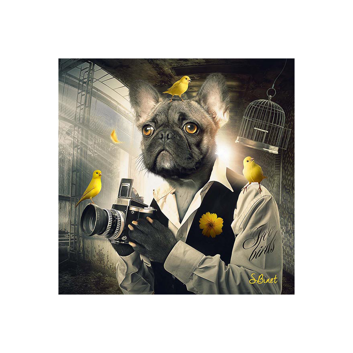 Tableau Binet chien photo Noir