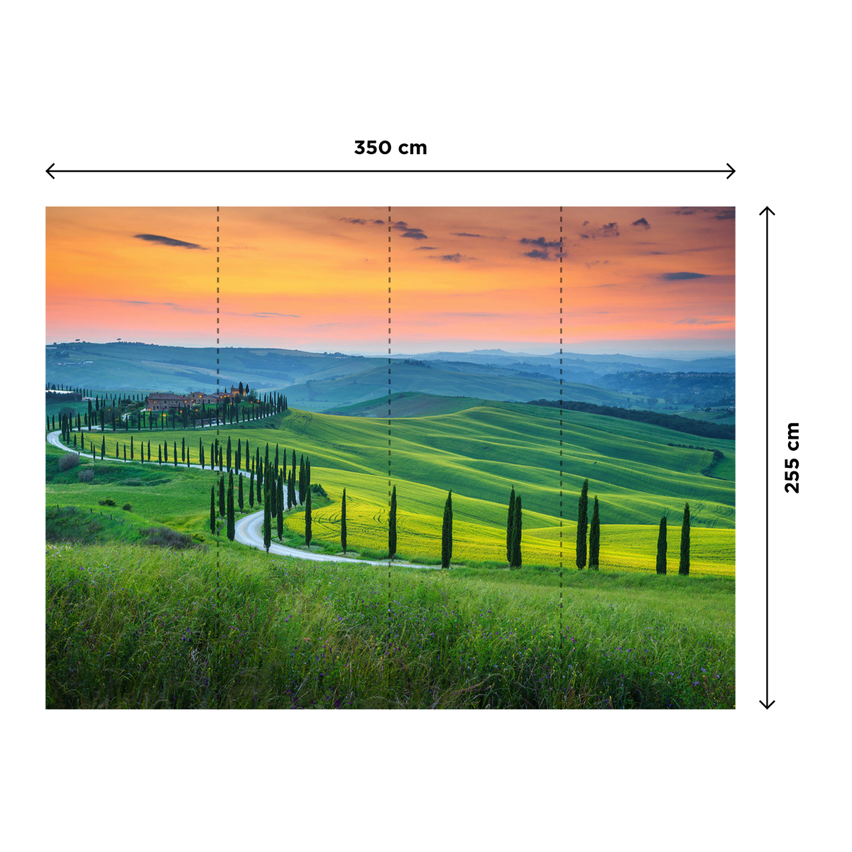 Papier peint panoramique XL Panja Multicolore Satiné