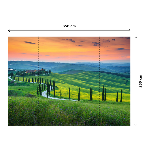 Papier peint panoramique XL PANJA 350 x 255 cm