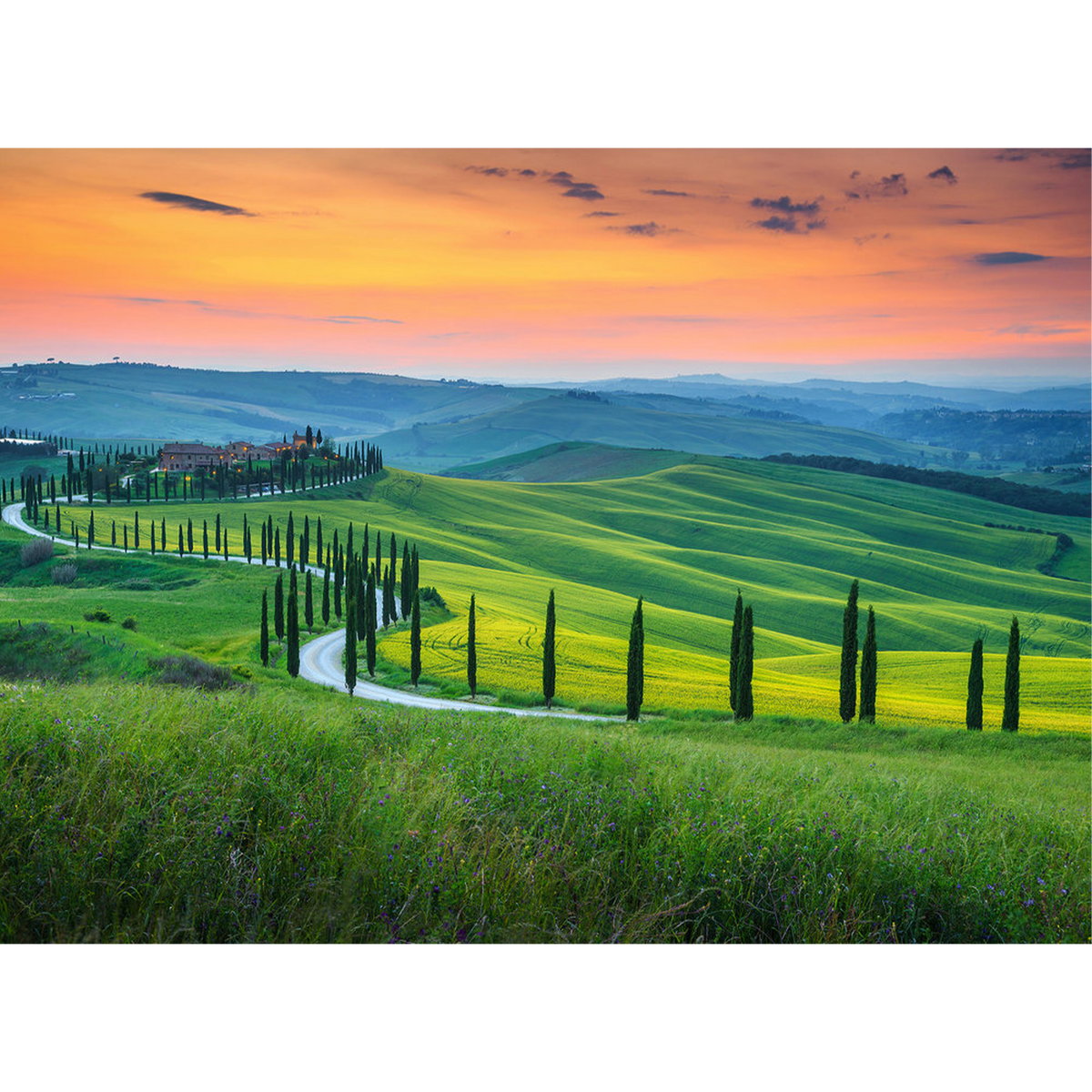 Papier peint panoramique XL Panja Multicolore Satiné