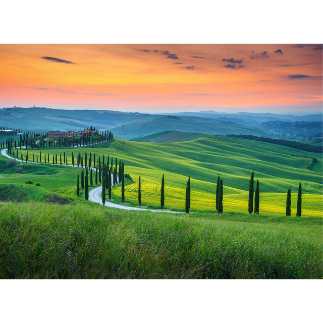 Papier peint panoramique XL PANJA 350 x 255 cm