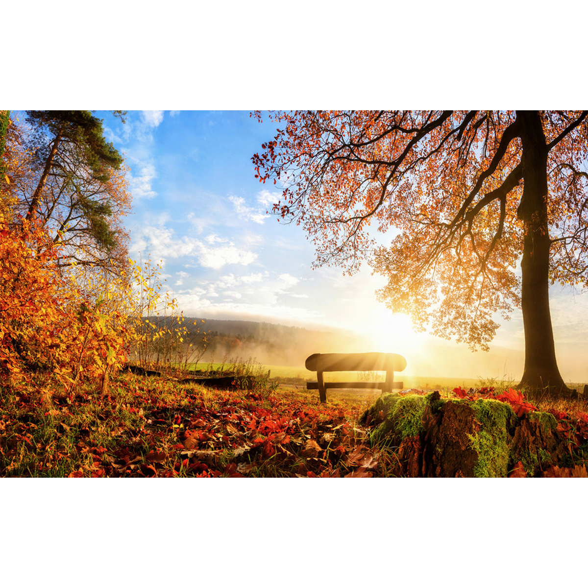 Papier peint panoramique XL Autumn Été indien Satiné