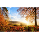 Papier peint panoramique XL Autumn Été indien Satiné