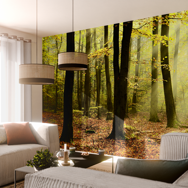 Papier peint panoramique XXL BASOA 500 x 250 cm