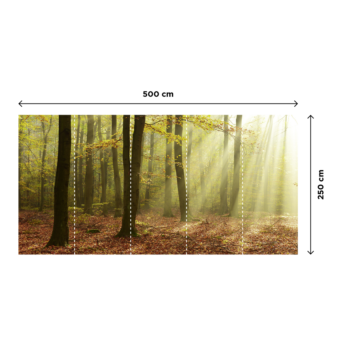 Papier peint panoramique XXL Basoa Été indien Satiné