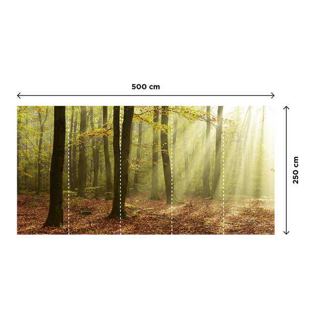 Papier peint panoramique XXL BASOA 500 x 250 cm