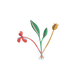 STUDIOROOF Kit Bouquet de printemps Multicolore